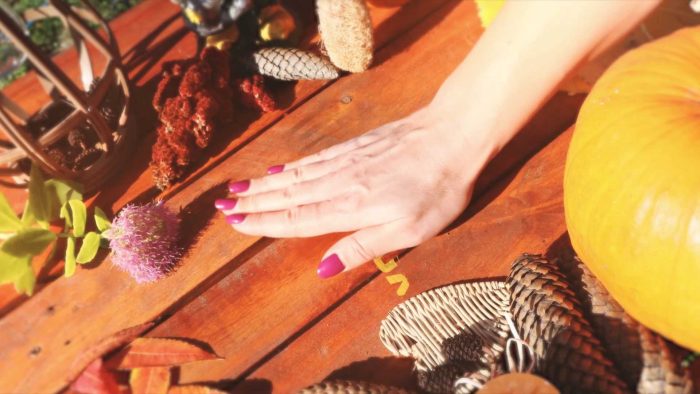 Mystic Logo In Nature enchanted reveal After Effects