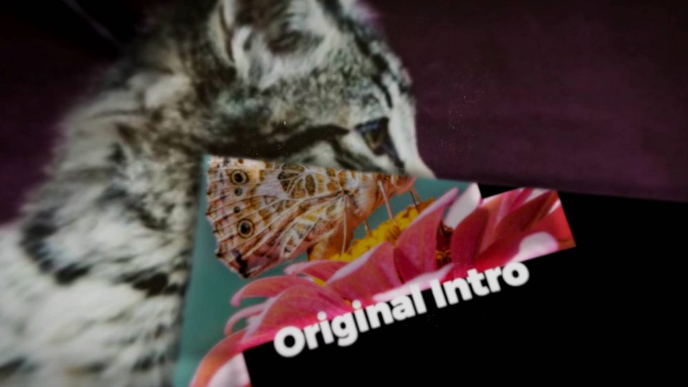 Artistic Folding Showcase - Image 5