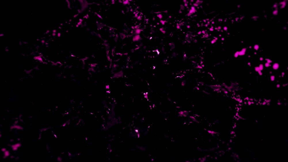 Bacteria Virus Infection Reveal - Image 3