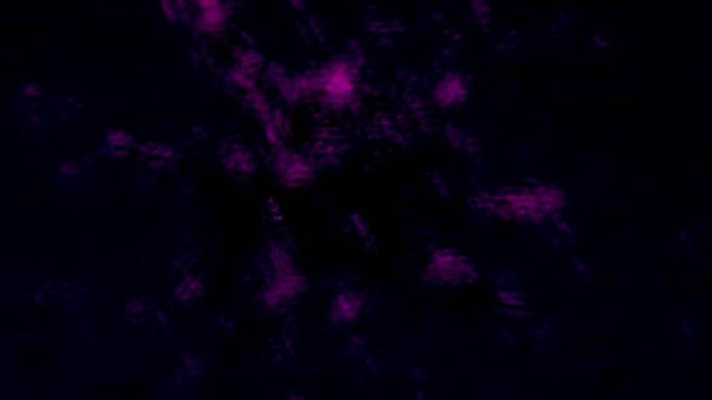 Bacteria Virus Infection Reveal - Image 10