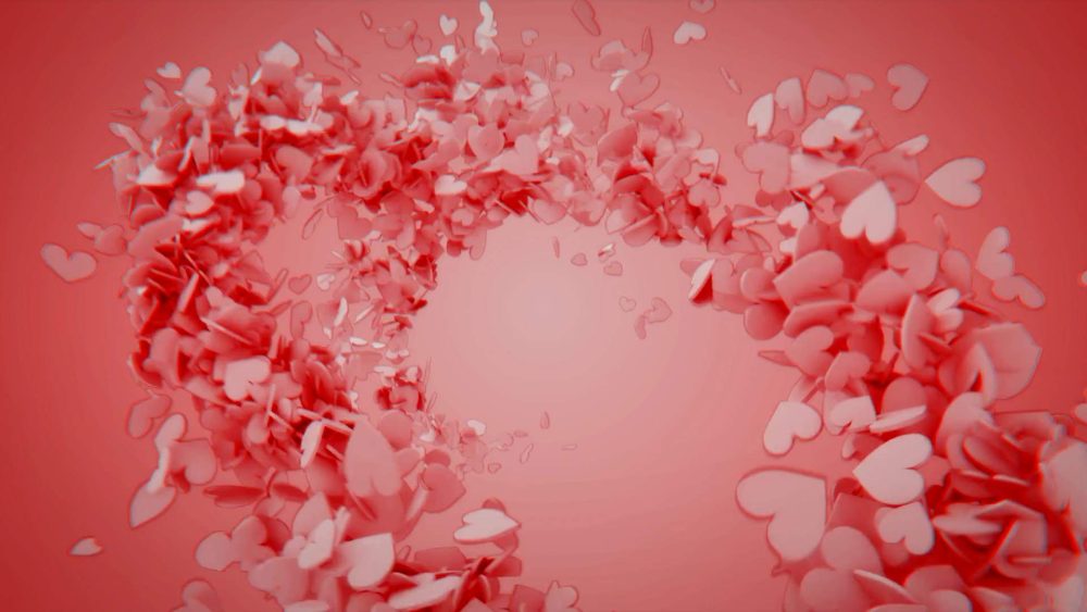 Cute Lovely Reveal - Image 7