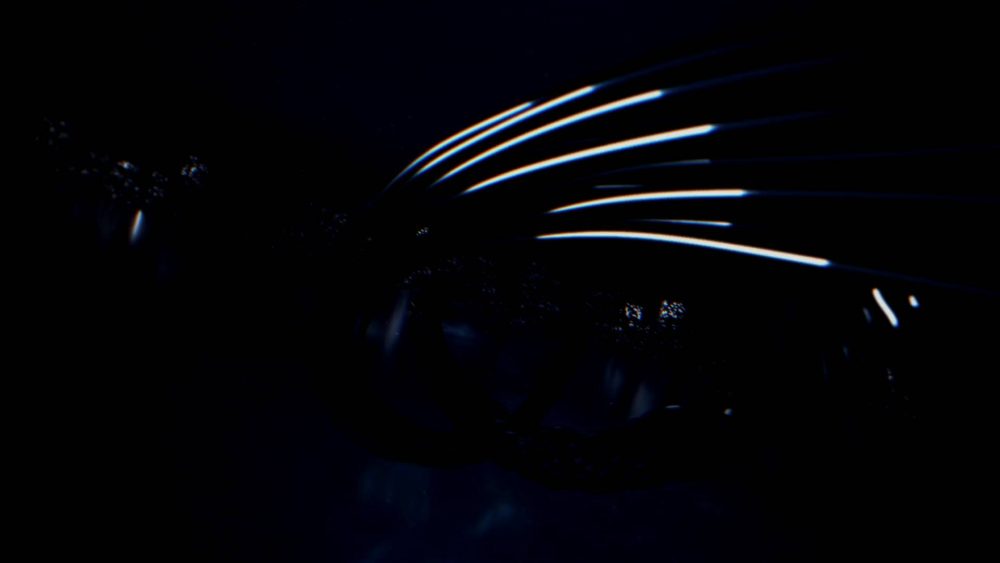 Digital Wire Reveal - Image 4