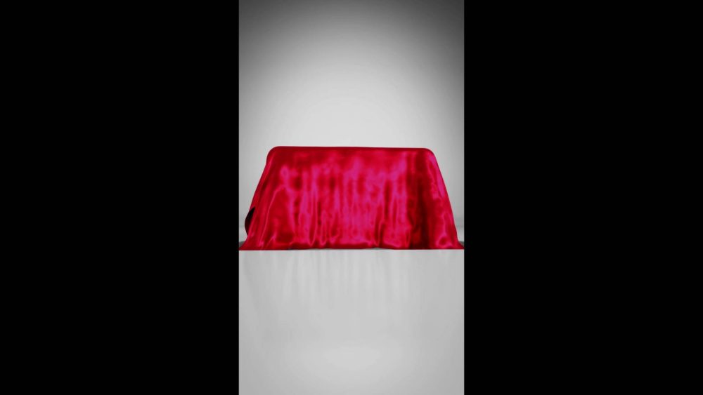 Elegant Curtain Unveil - Image 3