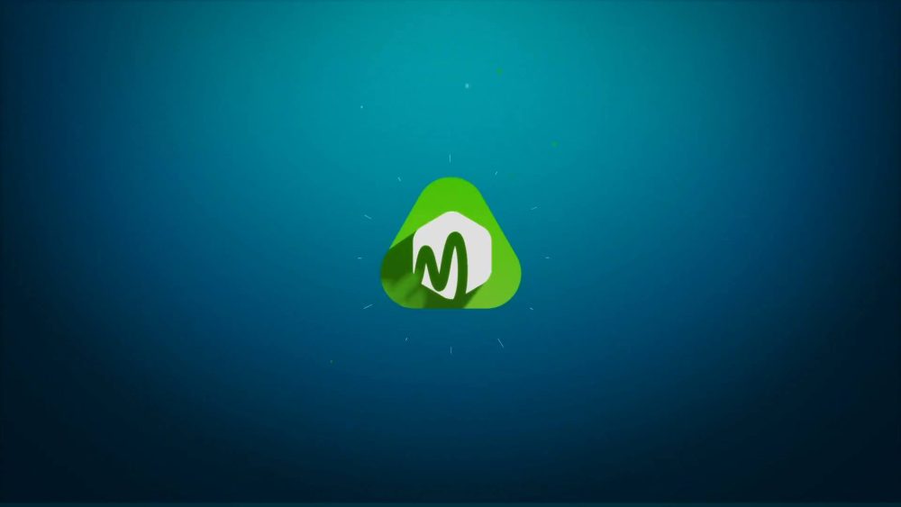 Fast Minimal Logo - Image 7