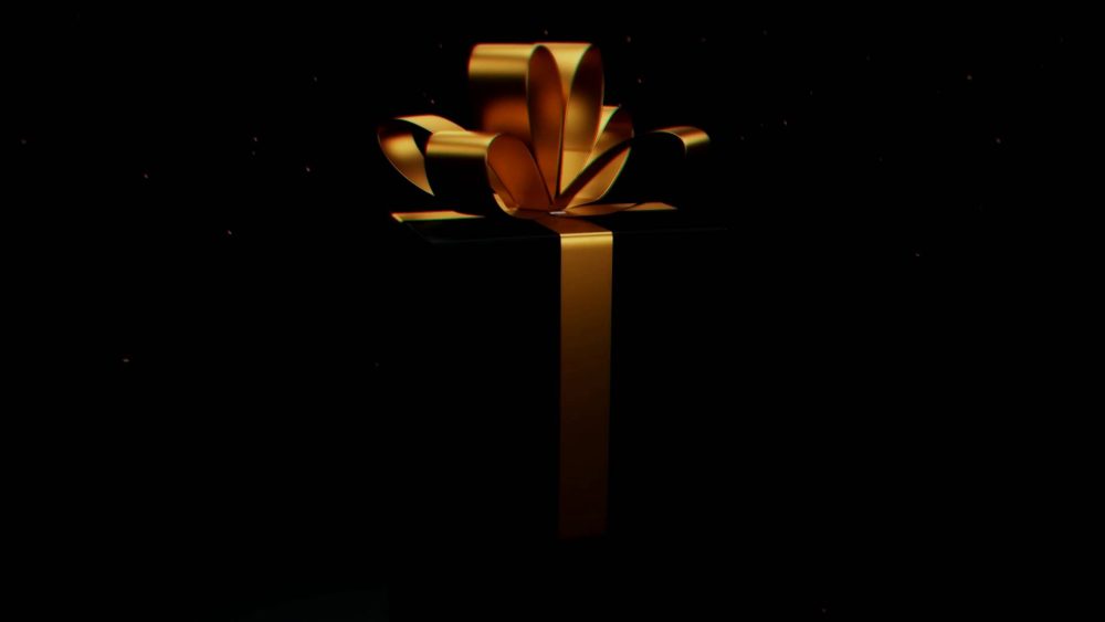 Gift Reveal Wonder - Image 4