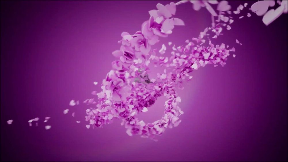Heart Logo Reveal - Image 3