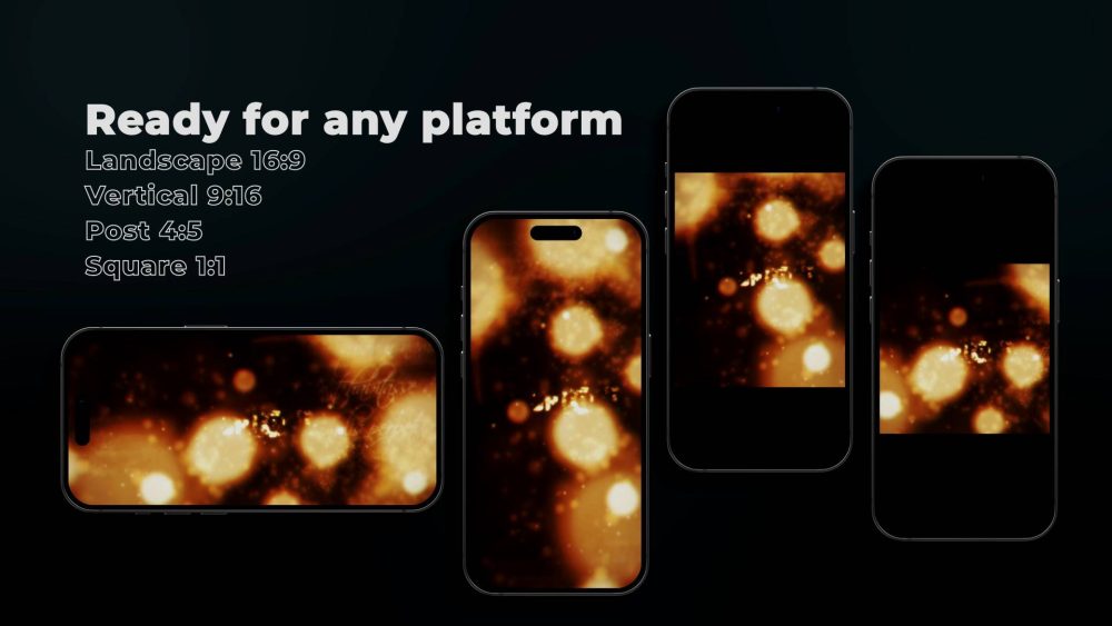 Luxury Brand Reveal - Image 7