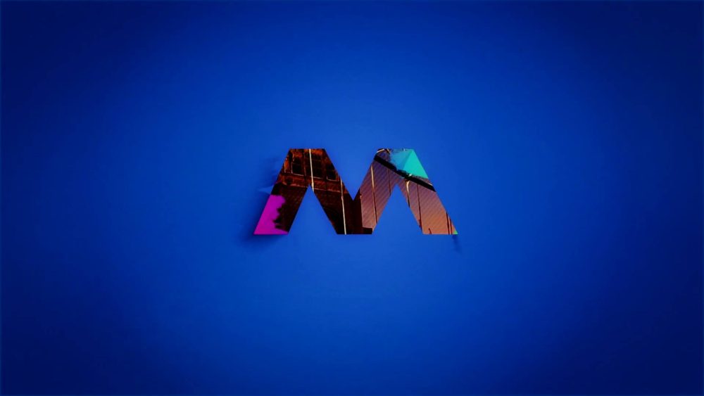 Paint Brush Logo Reveals - Image 8