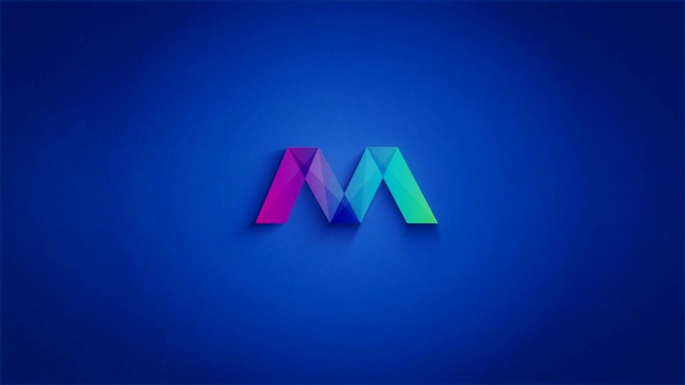Paint Brush Logo Reveals - Image 9