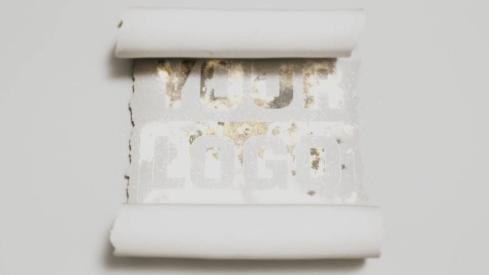 Parchment Scroll Reveal - Image 4