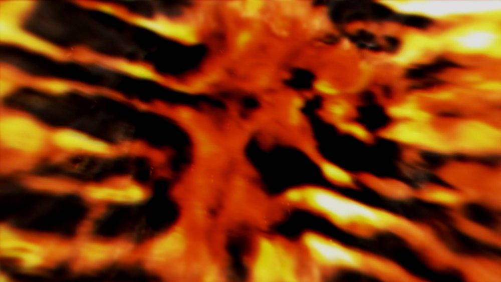 Phoenix Surge Logo Reveal - Image 3