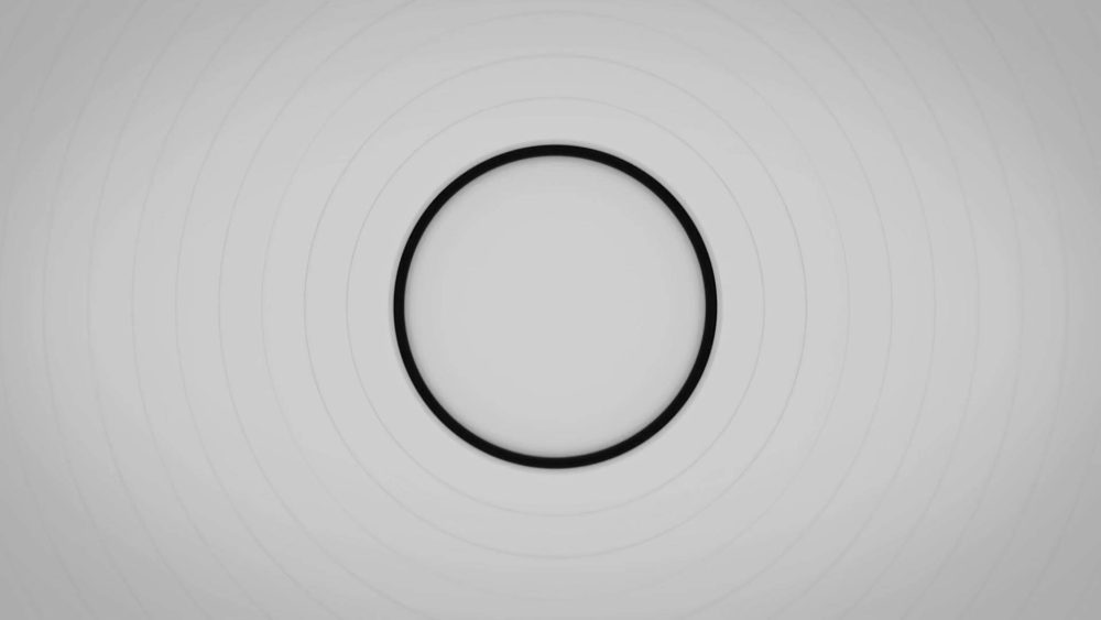 Rotating Elegance - Image 3