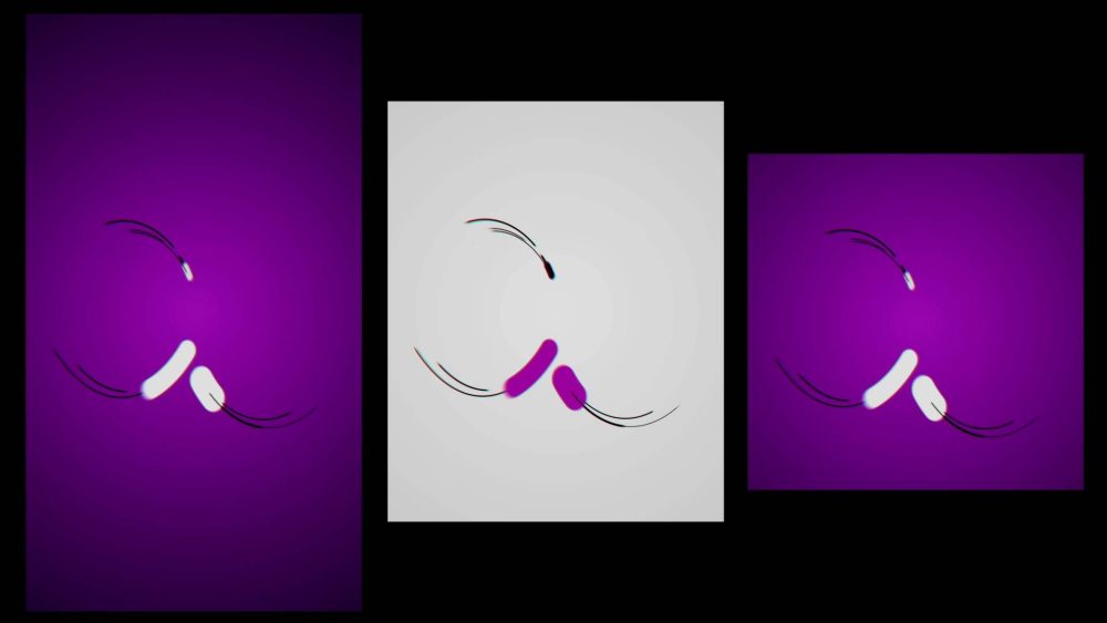Snap Start Intro - Image 8