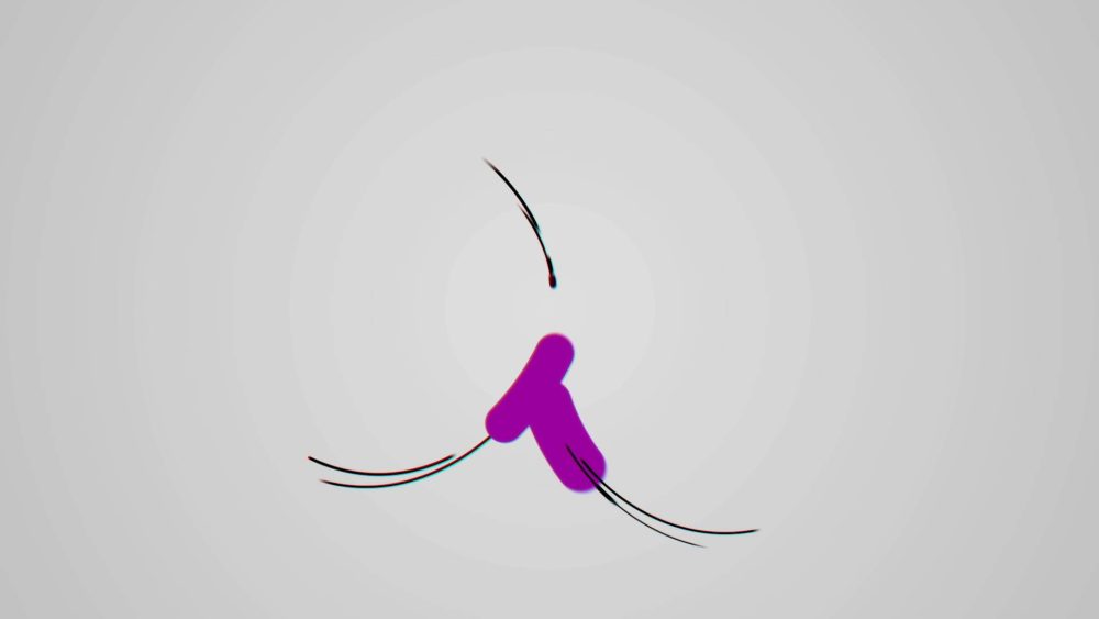 Snap Start Intro - Image 2