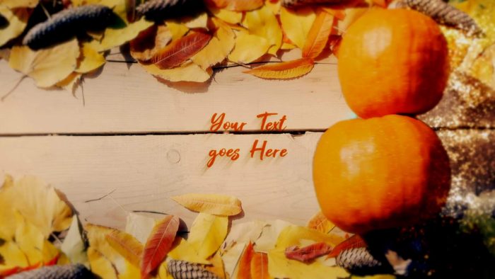 Thanksgiving Unveil