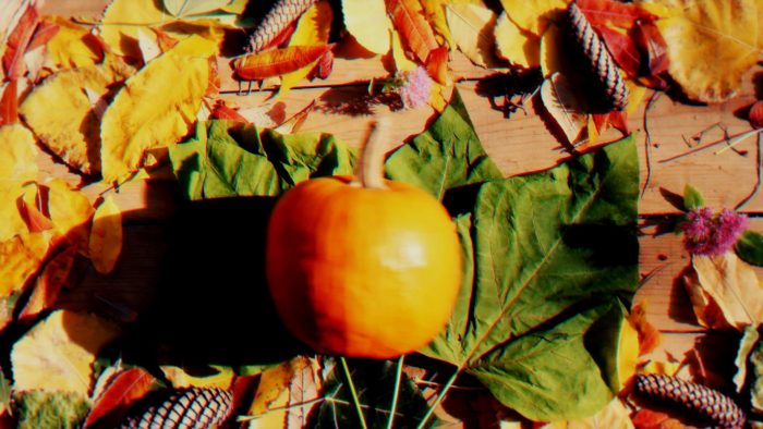 Thanksgiving Autumn Unveil