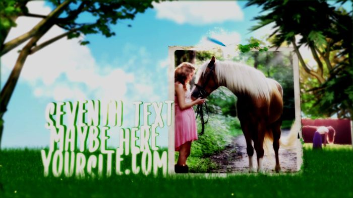 Forest Photo Slideshow