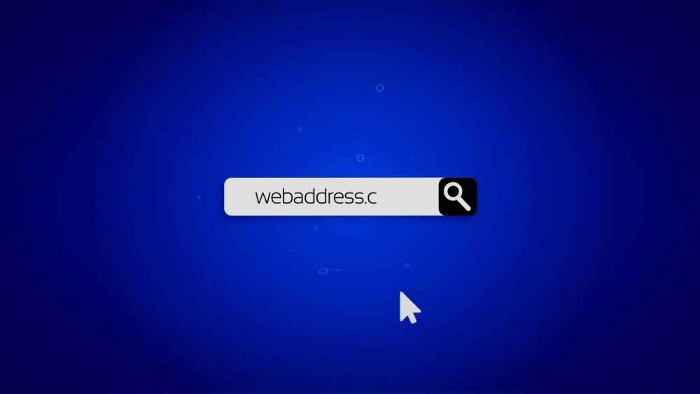 Web Search Logo Reveal - Image 4