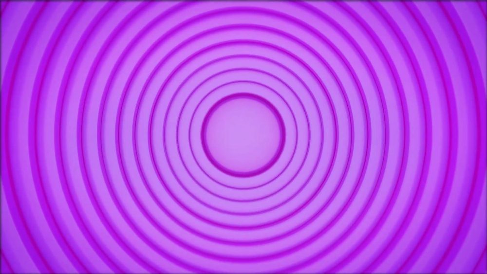 Business Circles Logo Reveals - Image 7