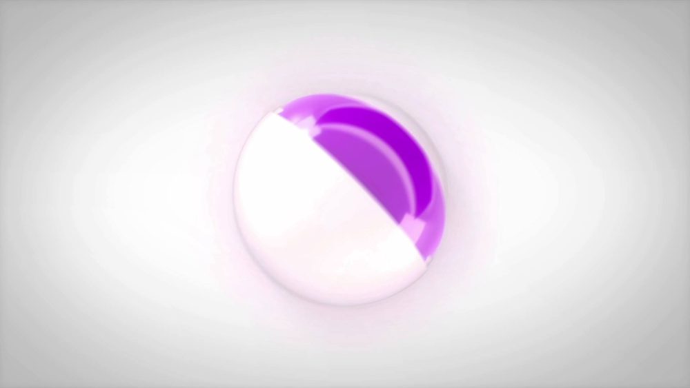 Clean Corporate Logo Reveals - Image 13