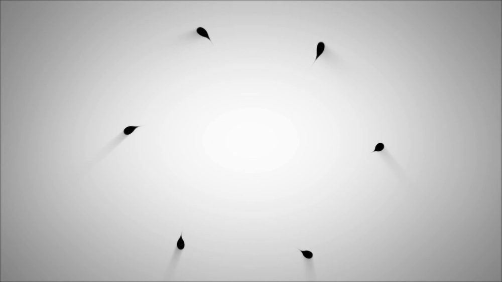Dynamic Lines Logo Reveal 6in1 - Image 3