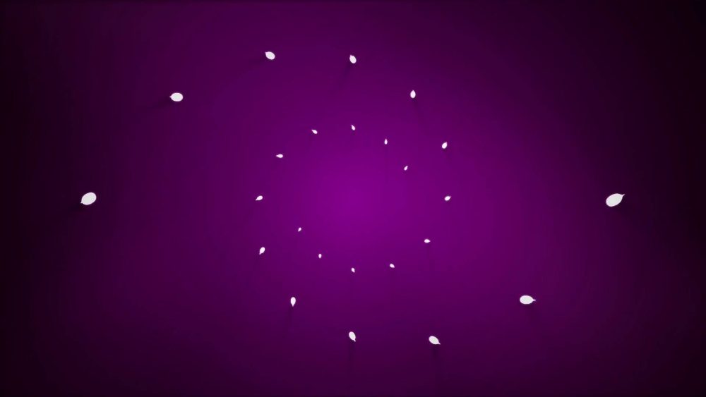 Dynamic Lines Logo Reveal 6in1 - Image 10