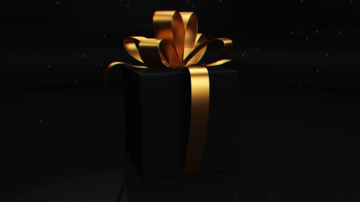 Present For You elegant gift reveal After Effects