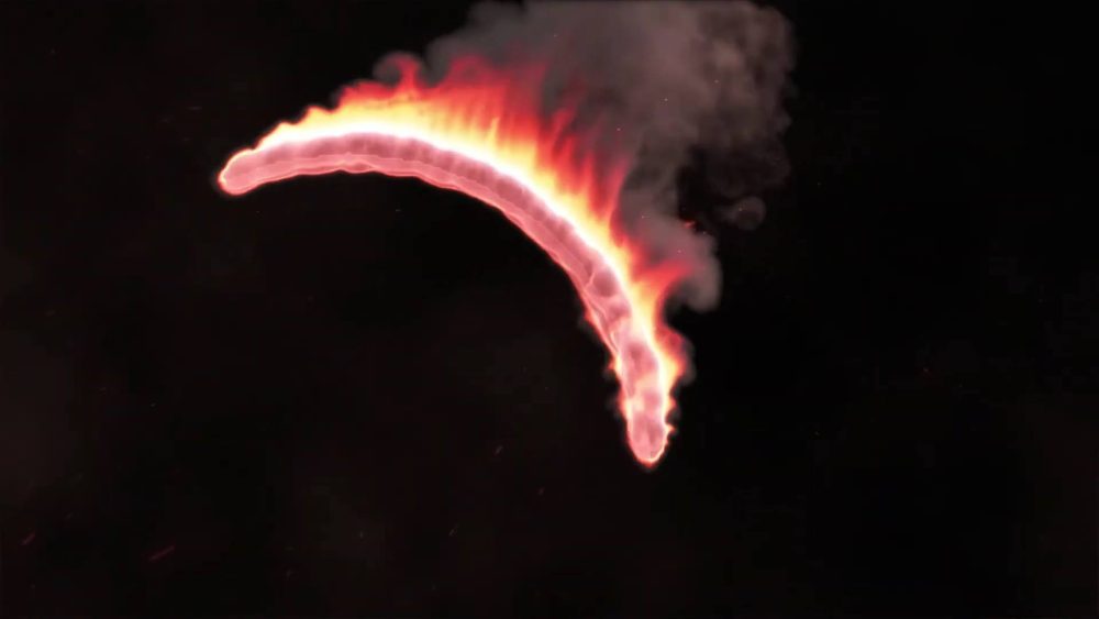 Fire Ring Logo Reveal - Image 8