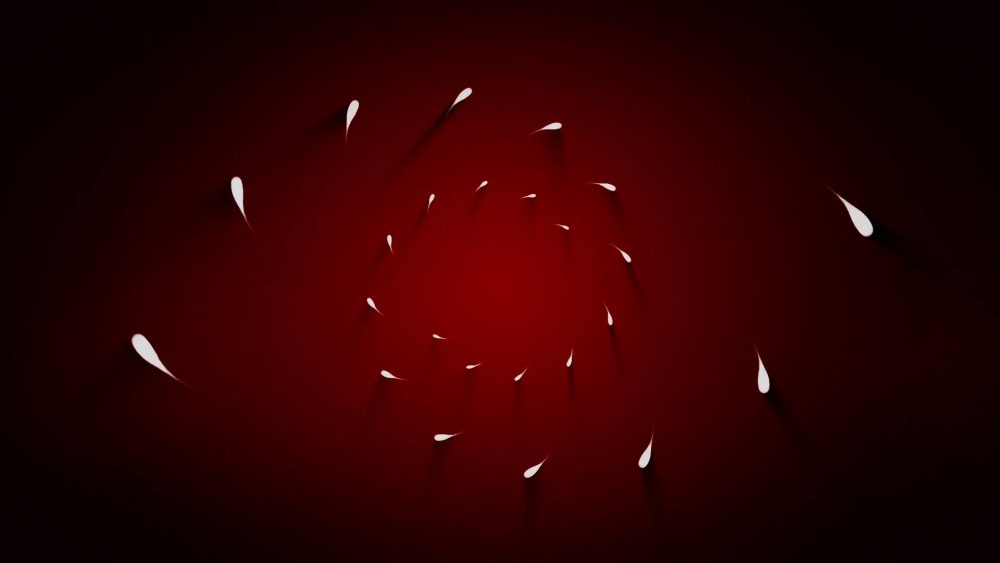 Minimal Lines Logo Reveal - Image 12