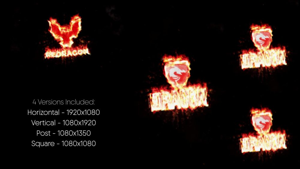 Phoenix Surge Unveil - Image 3