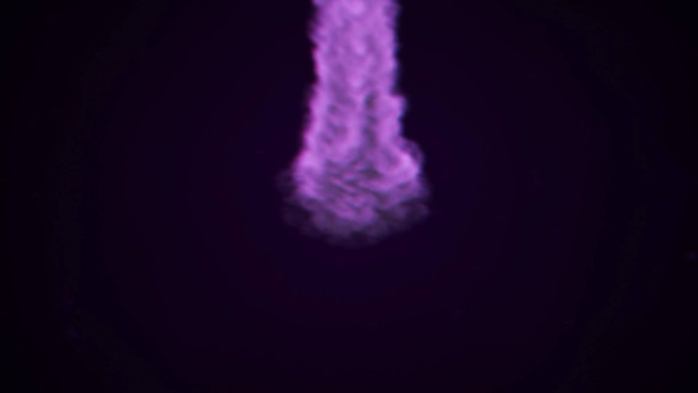 Shadow Mist Unveil - Image 12