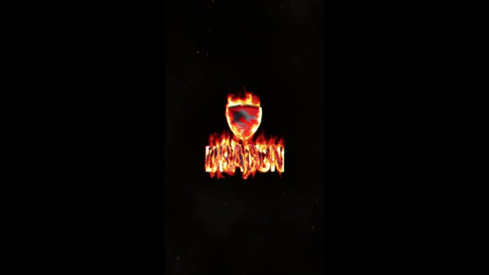 Phoenix Surge Unveil - Image 7