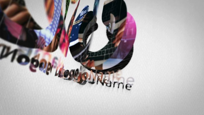 Clean Simple Stylish Logo