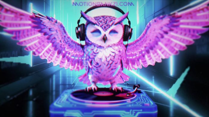 Hyper Disco Owl – Music Visualizer