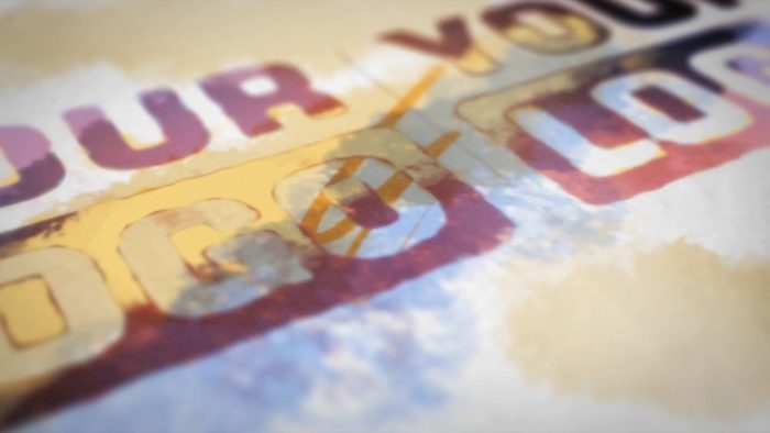 Partnership Dynamic Splash Reveal