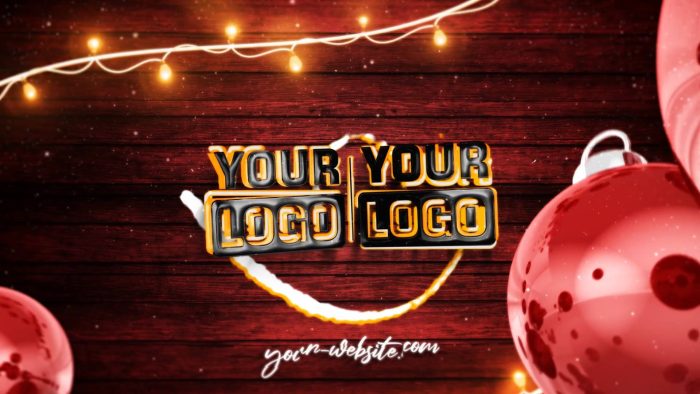 Partnership Holiday Ornament Unveil