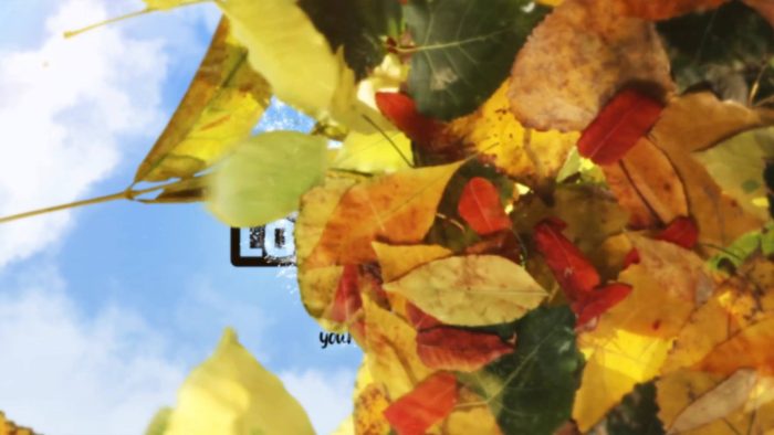 Partnership Magic Nature Unveil