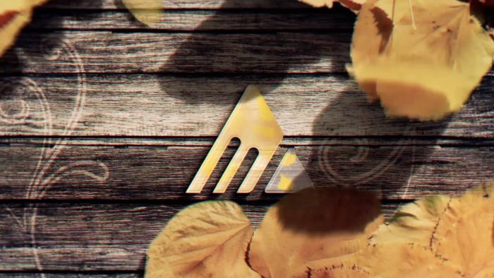 Magic Yellow Leaves Unveil - After Effects