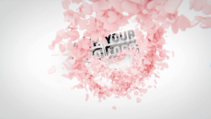 Partnership Cute Lovely Reveal