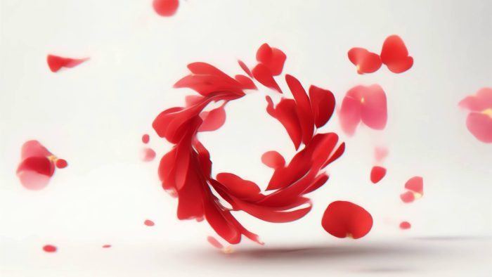 Romantic Petals In Motion